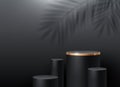 Black cylinder podium for product presentation. Podium stage on a wall background with a palm tree branches shadow.
